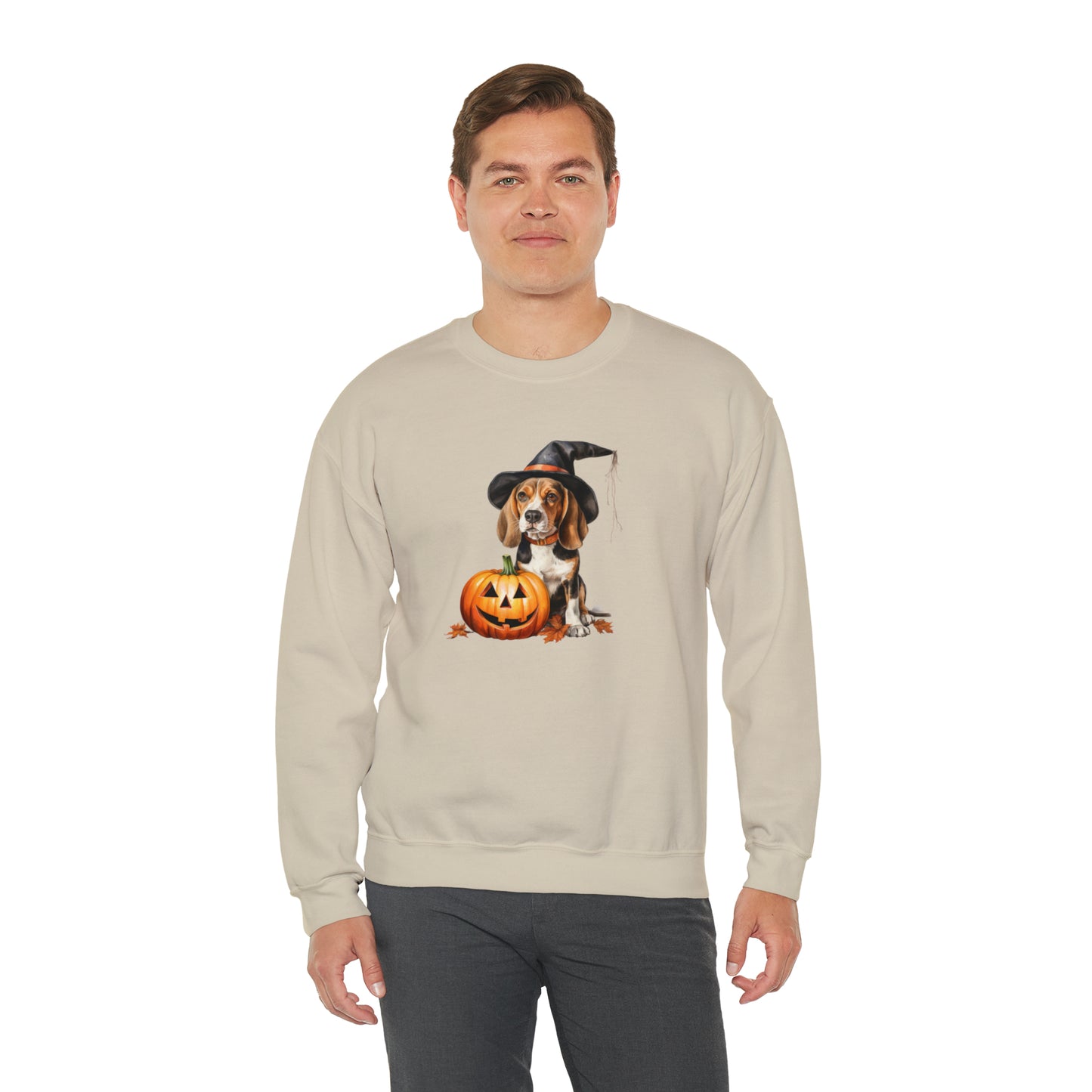 Beagle Halloween Sweatshirt - Cute Puppy Dressed as Witch with Pumpkin - Jack O' Lantern - October 2023