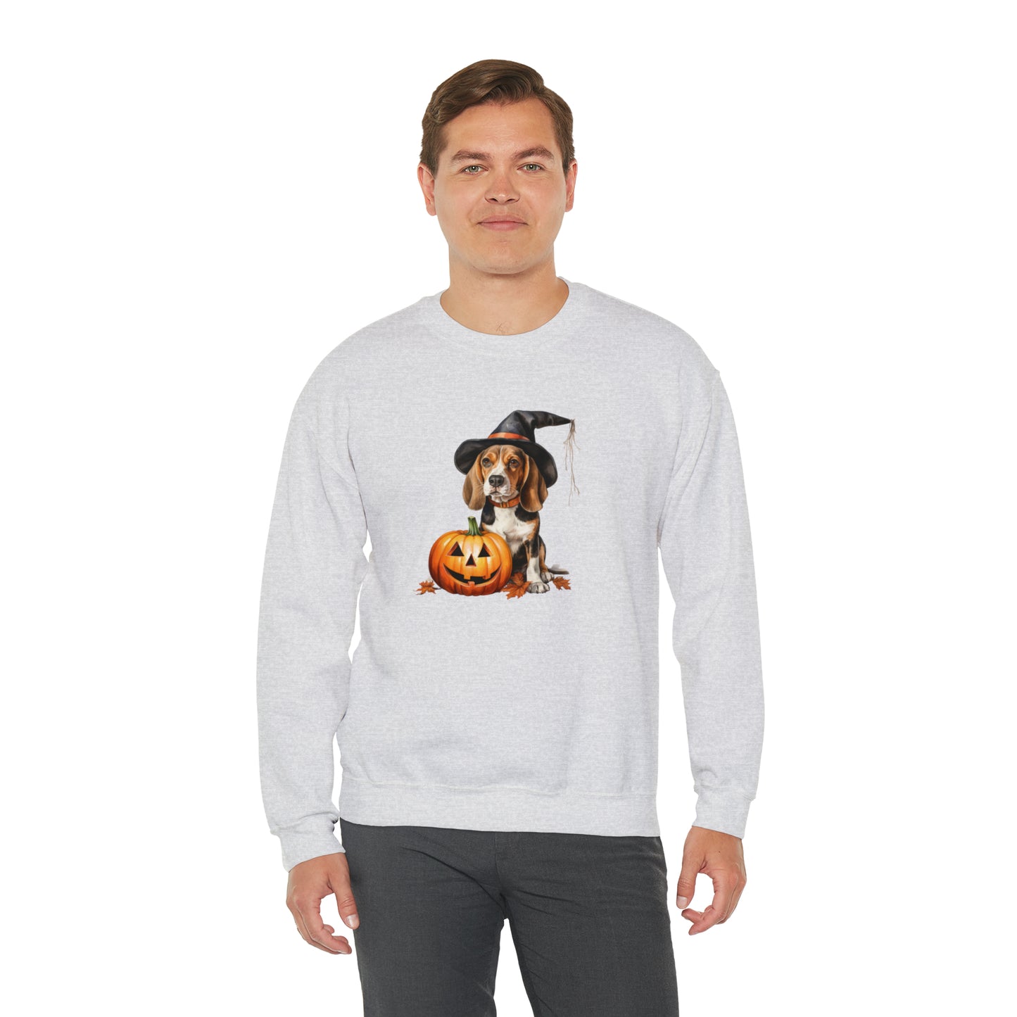 Beagle Halloween Sweatshirt - Cute Puppy Dressed as Witch with Pumpkin - Jack O' Lantern - October 2023