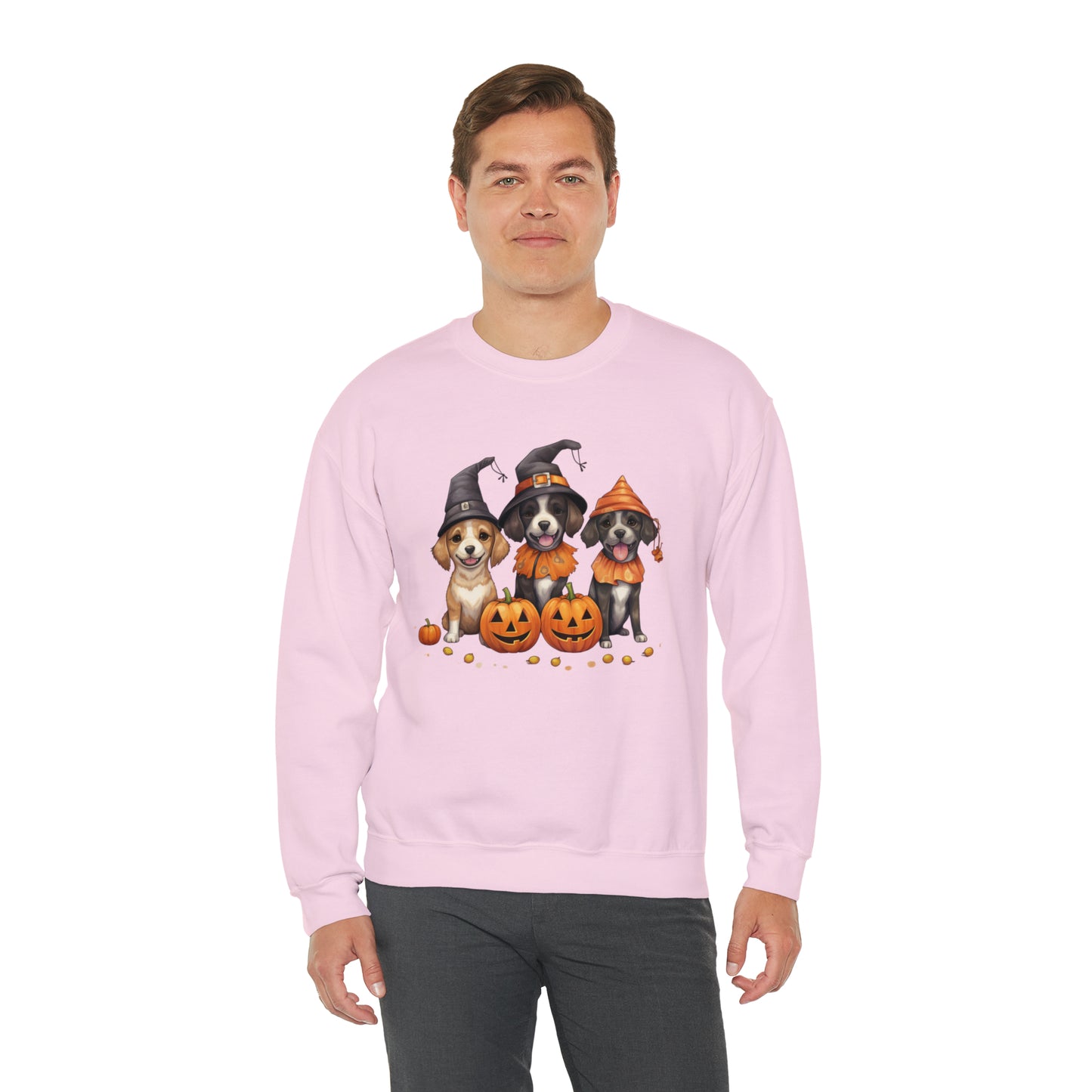 Witch Puppies Halloween Sweatshirt - Trick-Or-Treating Dogs with Jack-O-Lanterns - October 2023