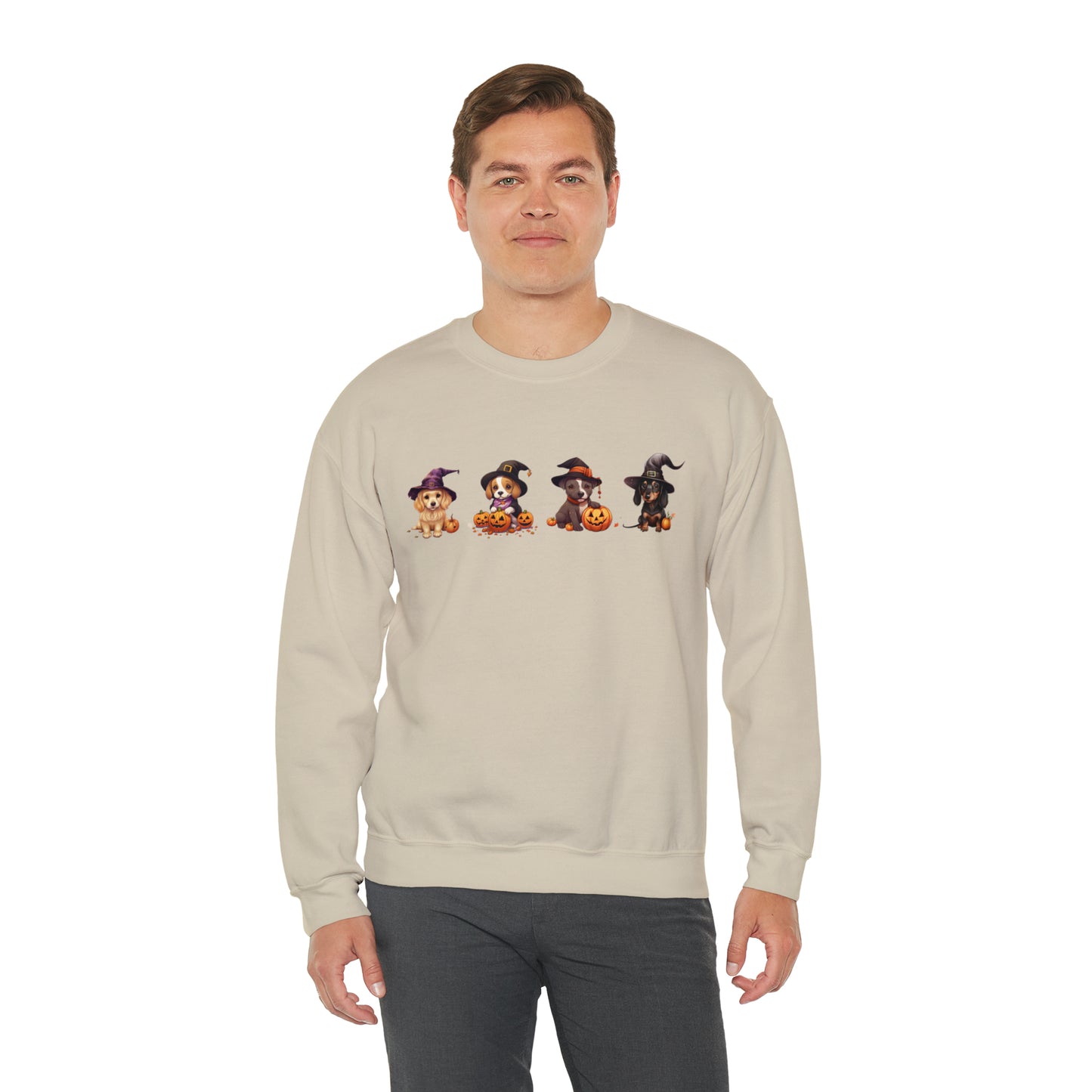 Puppies Halloween Sweatshirt - Beagle, Golden Retriever, Pitbull, Dachshund in Witch costumes with Jack-o-Lanterns - October 2023