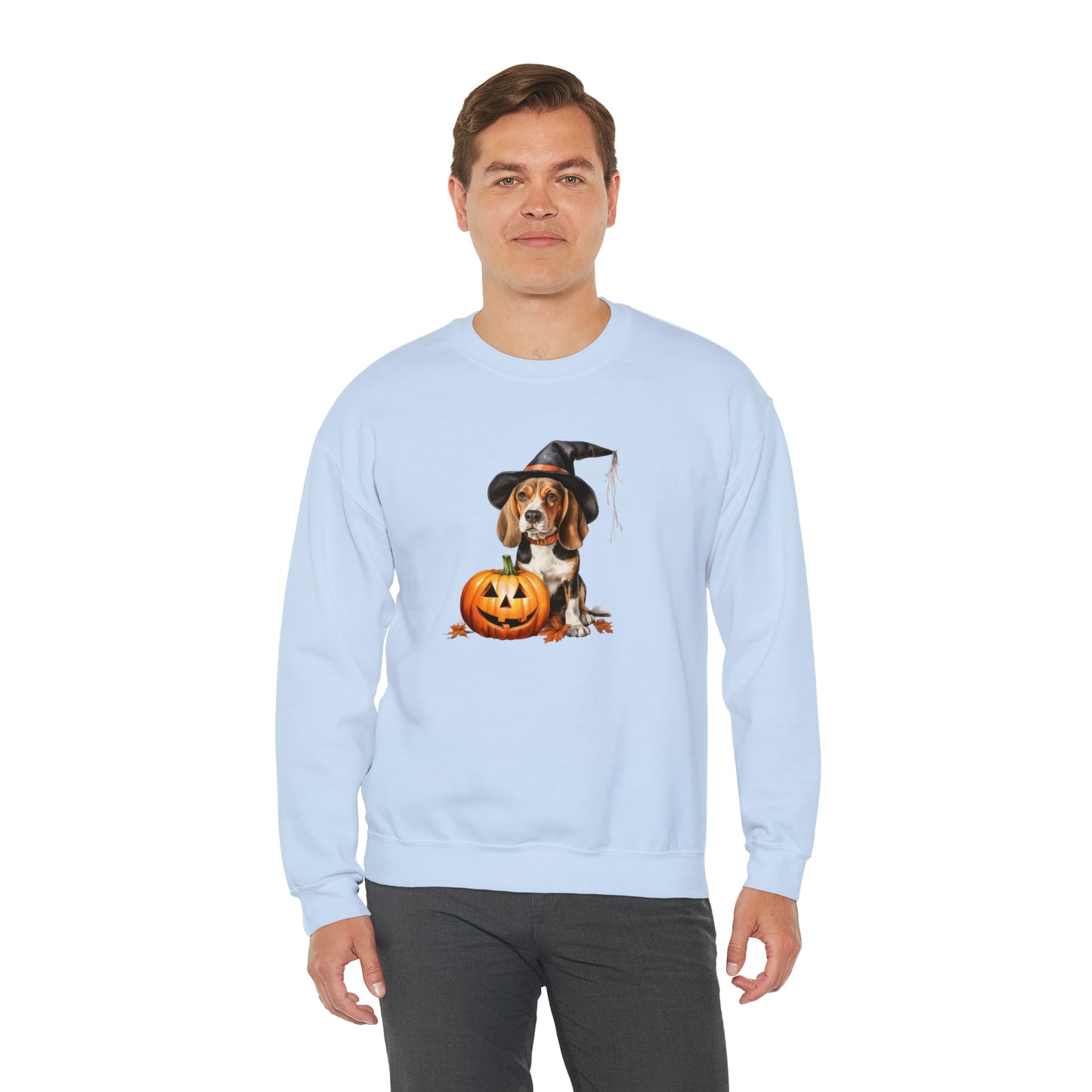 Beagle Halloween Sweatshirt - Cute Puppy Dressed as Witch with Pumpkin - Jack O' Lantern - October 2023