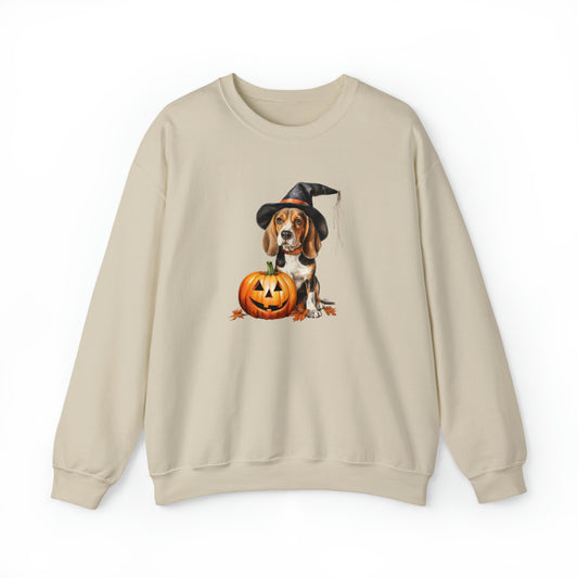 Beagle Halloween Sweatshirt - Cute Puppy Dressed as Witch with Pumpkin - Jack O' Lantern - October 2023