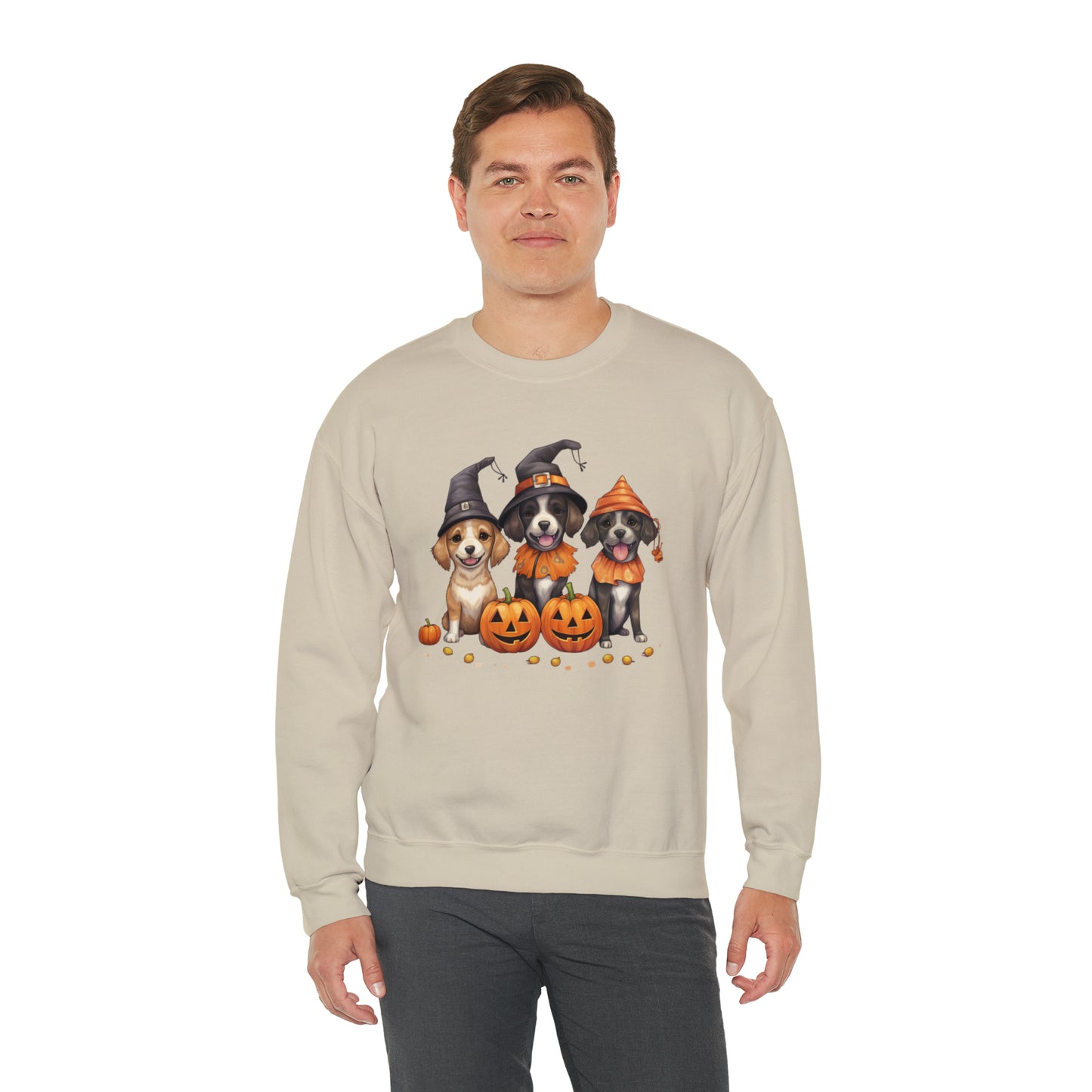 Witch Puppies Halloween Sweatshirt - Trick-Or-Treating Dogs with Jack-O-Lanterns - October 2023