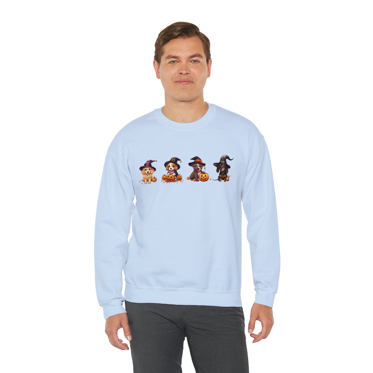 Puppies Halloween Sweatshirt - Beagle, Golden Retriever, Pitbull, Dachshund in Witch costumes with Jack-o-Lanterns - October 2023