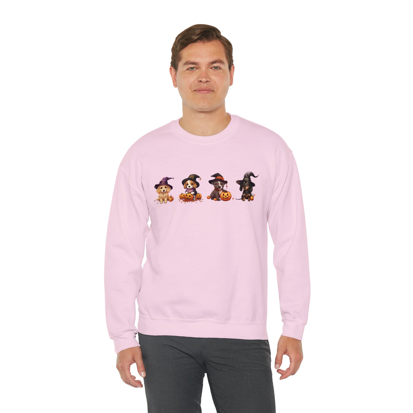 Puppies Halloween Sweatshirt - Beagle, Golden Retriever, Pitbull, Dachshund in Witch costumes with Jack-o-Lanterns - October 2023