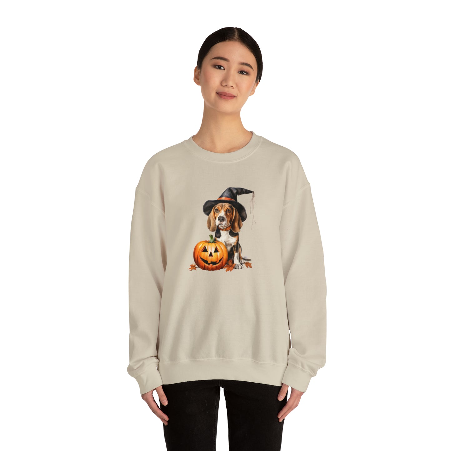 Beagle Halloween Sweatshirt - Cute Puppy Dressed as Witch with Pumpkin - Jack O' Lantern - October 2023